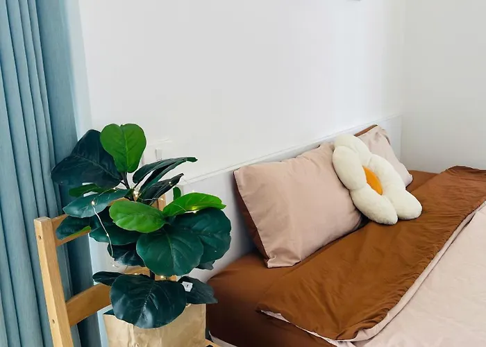 Dang - Apartment